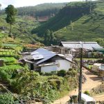 Teefabrik, Nuwara Eliya. Foto: HG Pictures